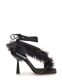 Sebastian Marie Sandalwood