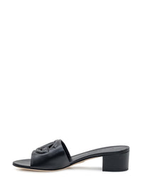 Dolce & Gabbana Sandalwood