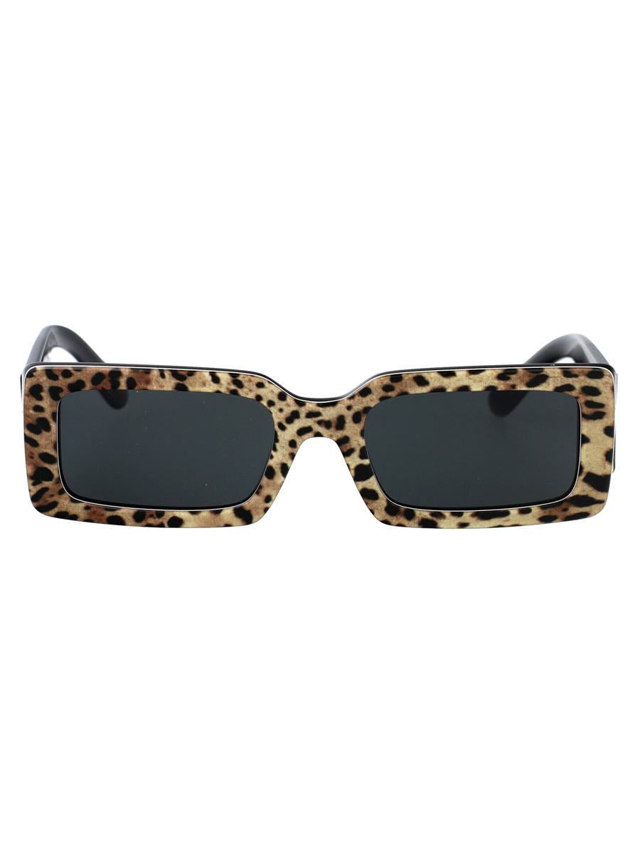 Dolce & Gabbana Sunglasses