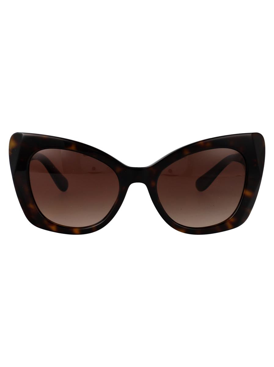 Dolce & Gabbana Sunglasses