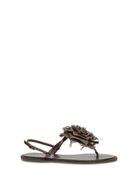 Le Silla Sandals
