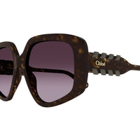 Chloé Sunglasses