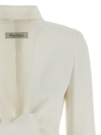 Max Mara 'Ghiotto' Blazer