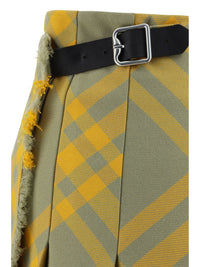 burberry-skirt-1765534562008644089-4