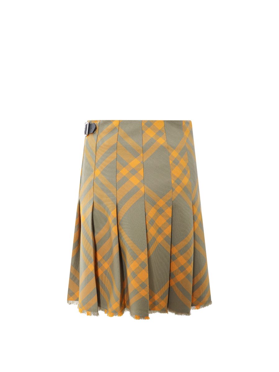 burberry-skirt-1765534562008644089-1