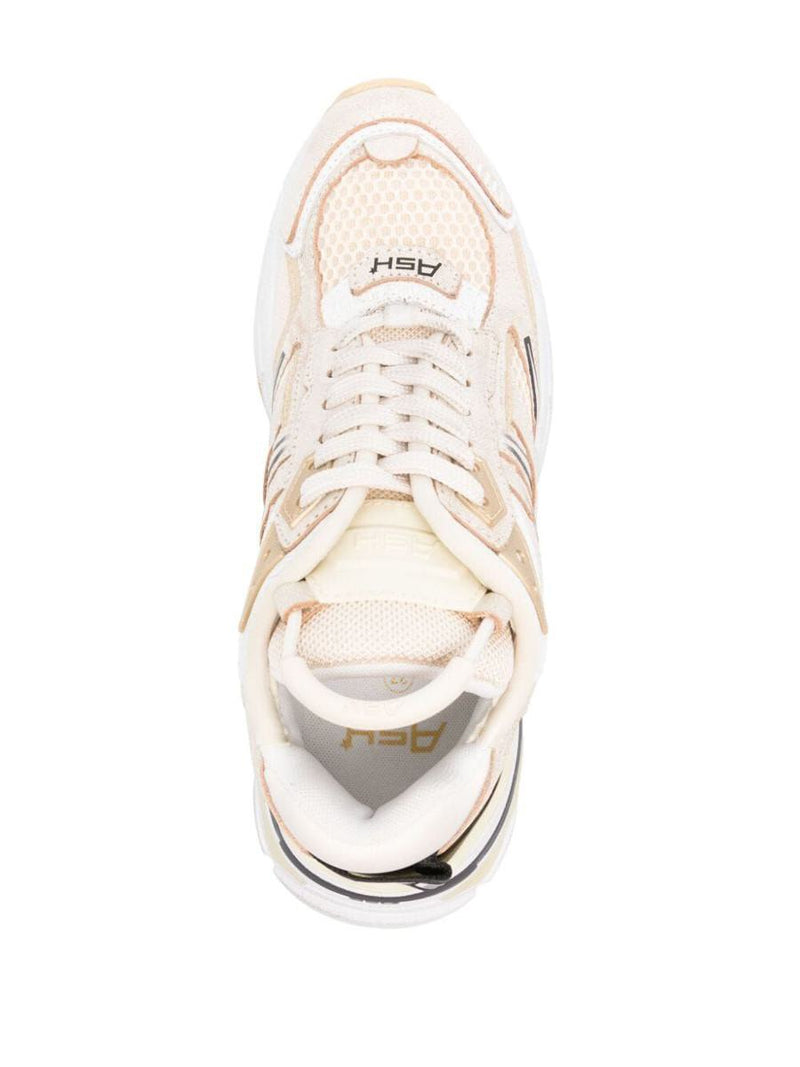 Ash Race Sneakers Shoes