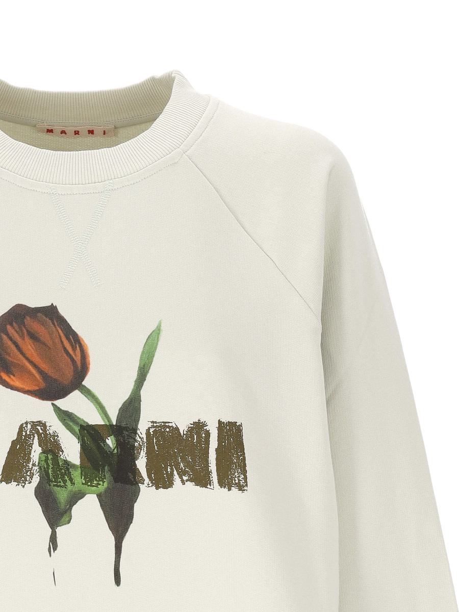 Marni Sweaters