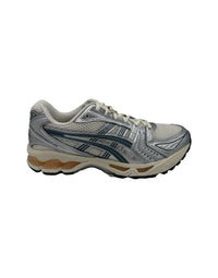 Asics Snakers Shoes