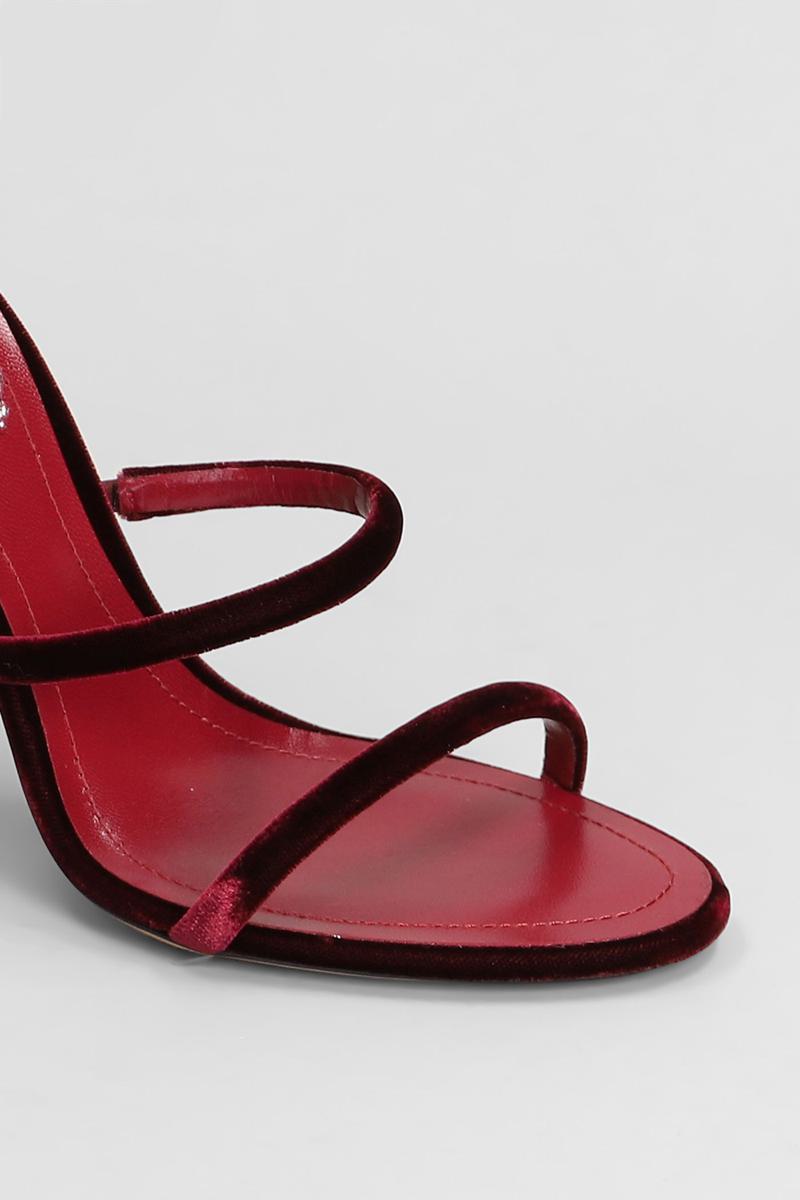 René Caovilla Cleo  Sandals