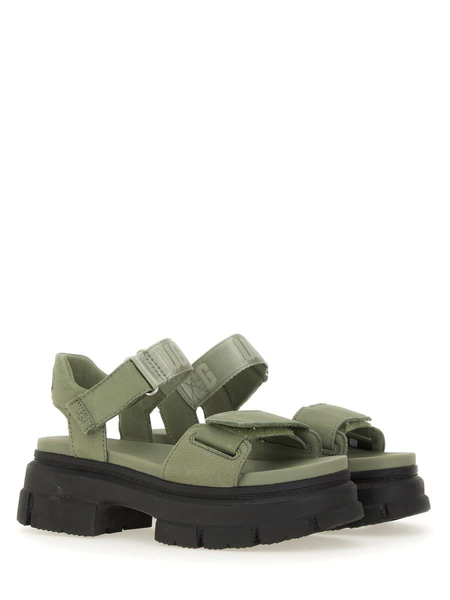 UGG Sandal "Ashton"