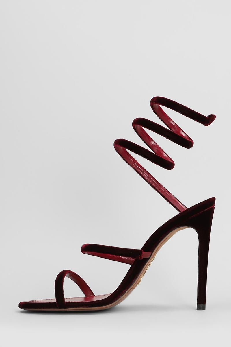 René Caovilla Cleo  Sandals