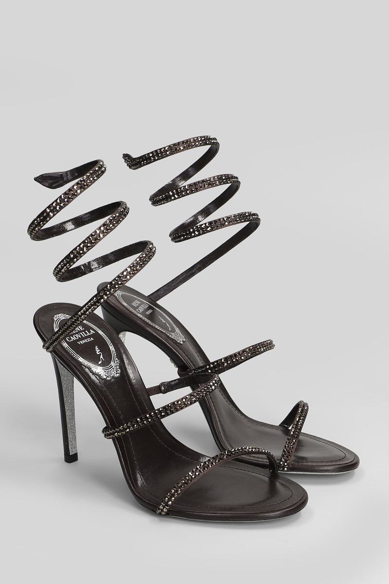 René Caovilla Cleo Sandals
