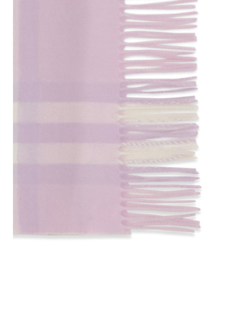 Burberry Scarves