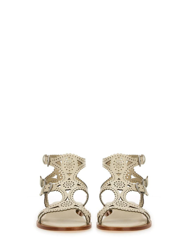 Ash Sandalwood "Paprika"