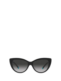 Tiffany & Co. Sunglasses