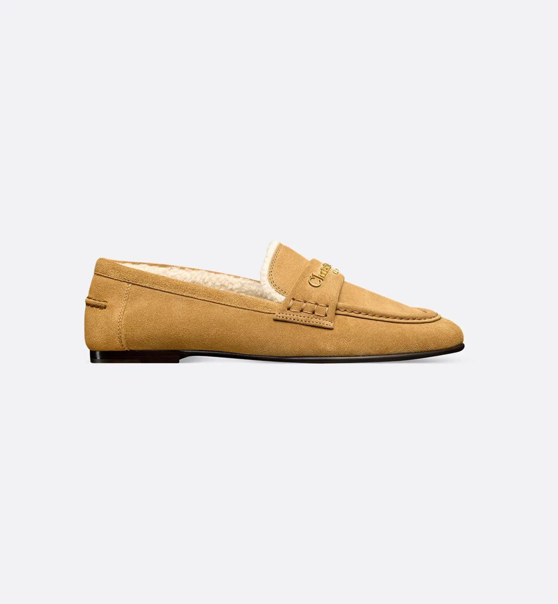 Dior Loafer Shoes