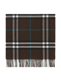 Burberry Scarfs