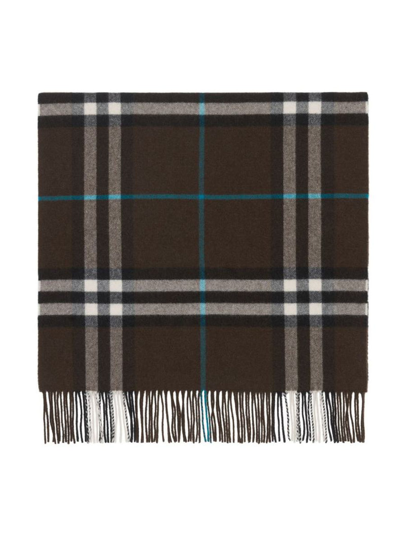 Burberry Scarfs