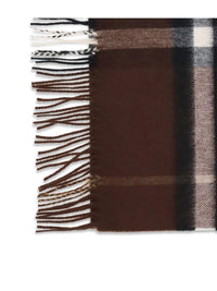 Burberry Scarves