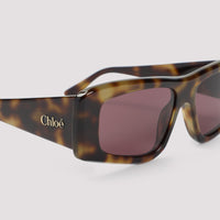 Chloé Glasses