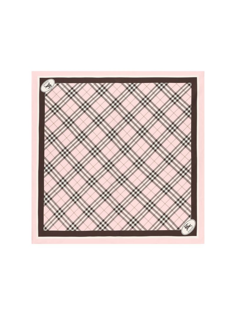 Burberry Scarves