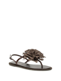 Le Silla Sandals
