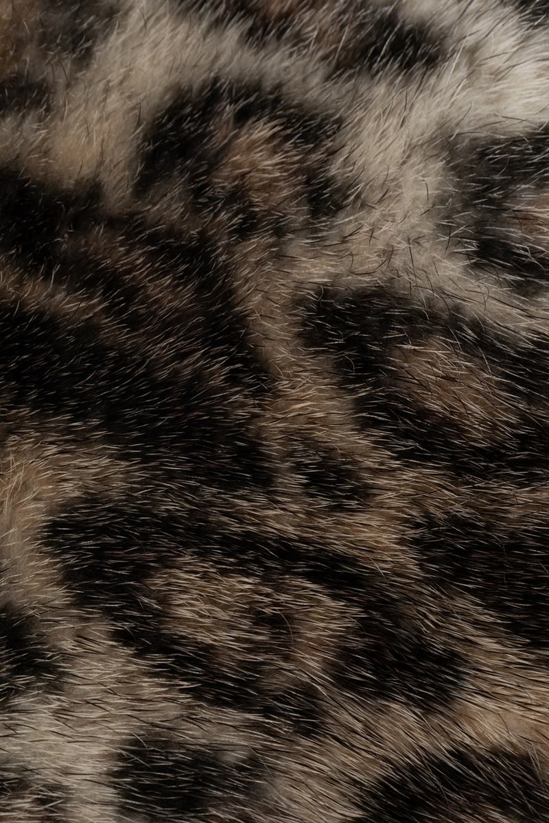 Dior Scarves & Foulards