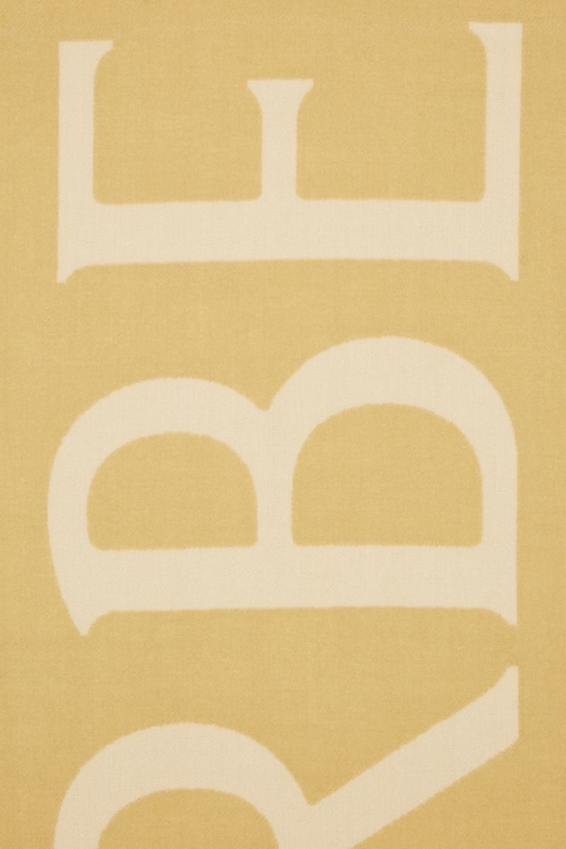 Burberry Scarves & Foulards