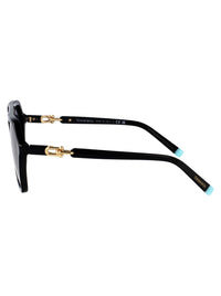 Tiffany & Co. Sunglasses