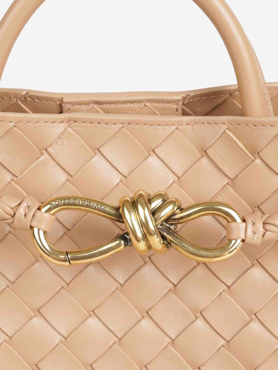 Bottega Veneta Small Andiamo Bag
