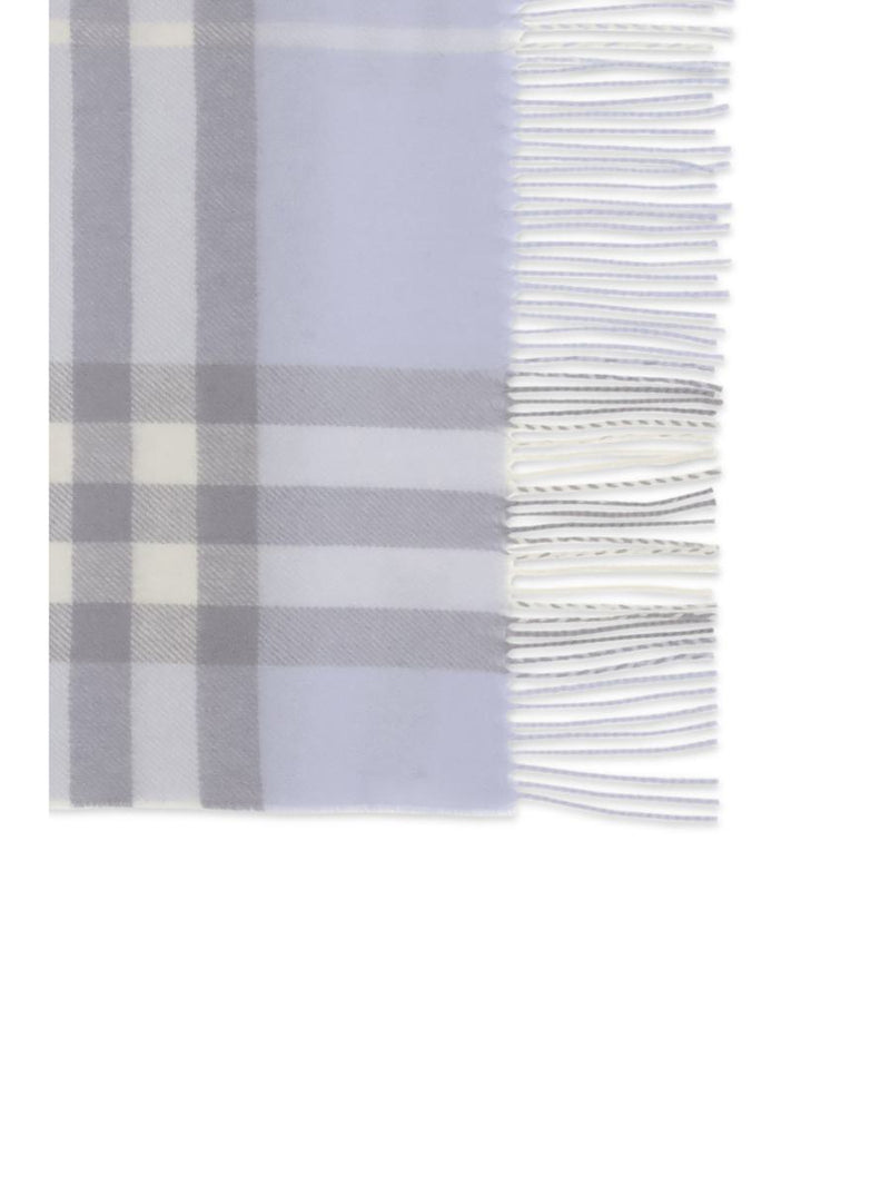 Burberry Scarves