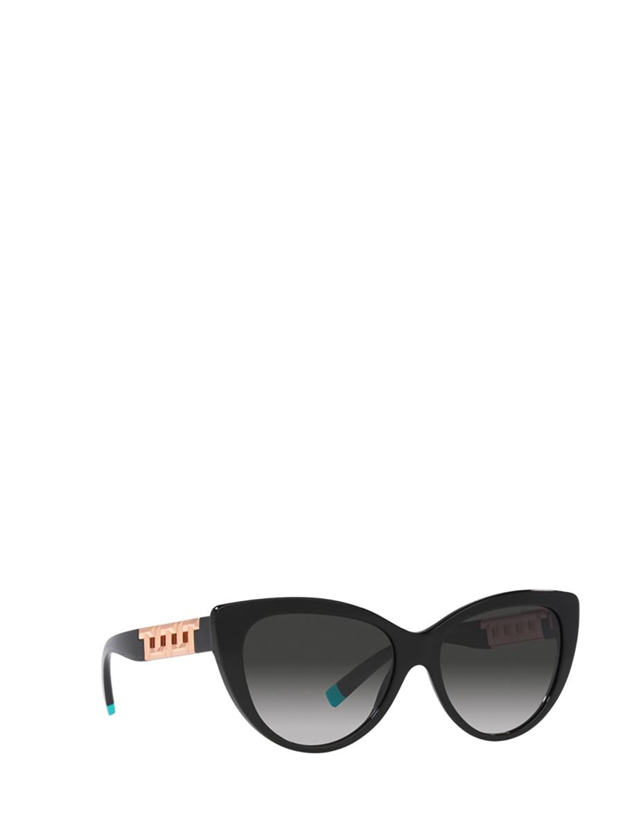 Tiffany & Co. Sunglasses