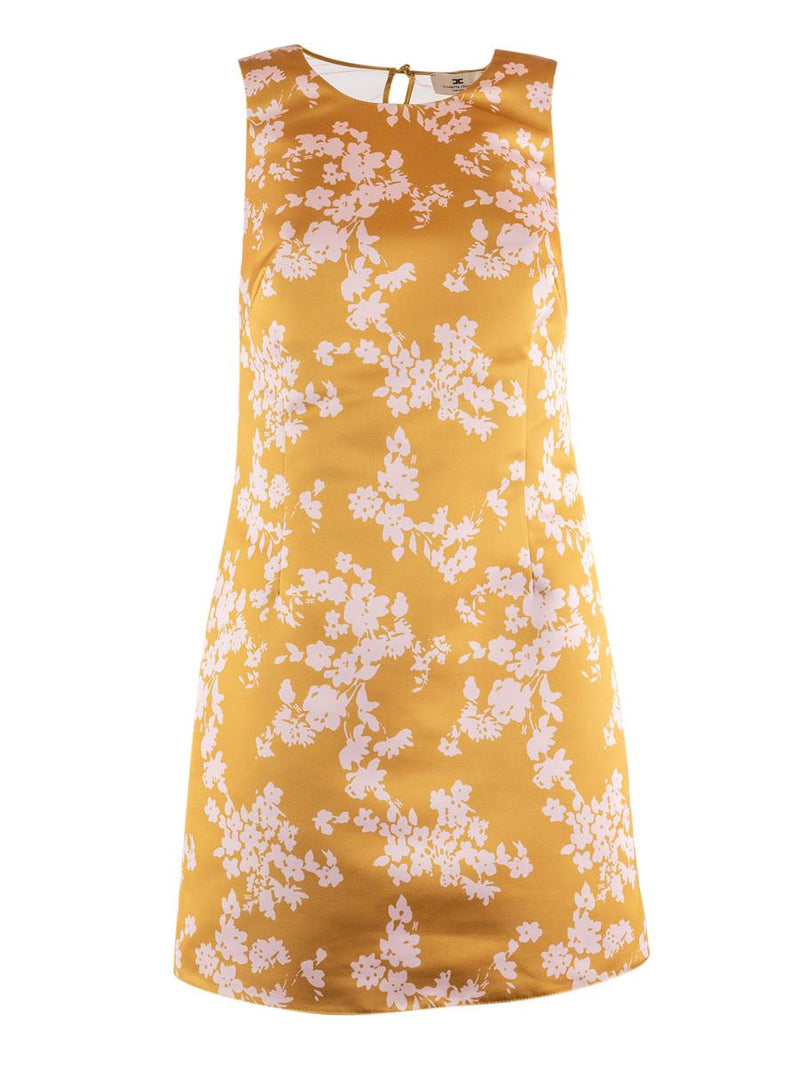 Elisabetta Franchi Midi Dress