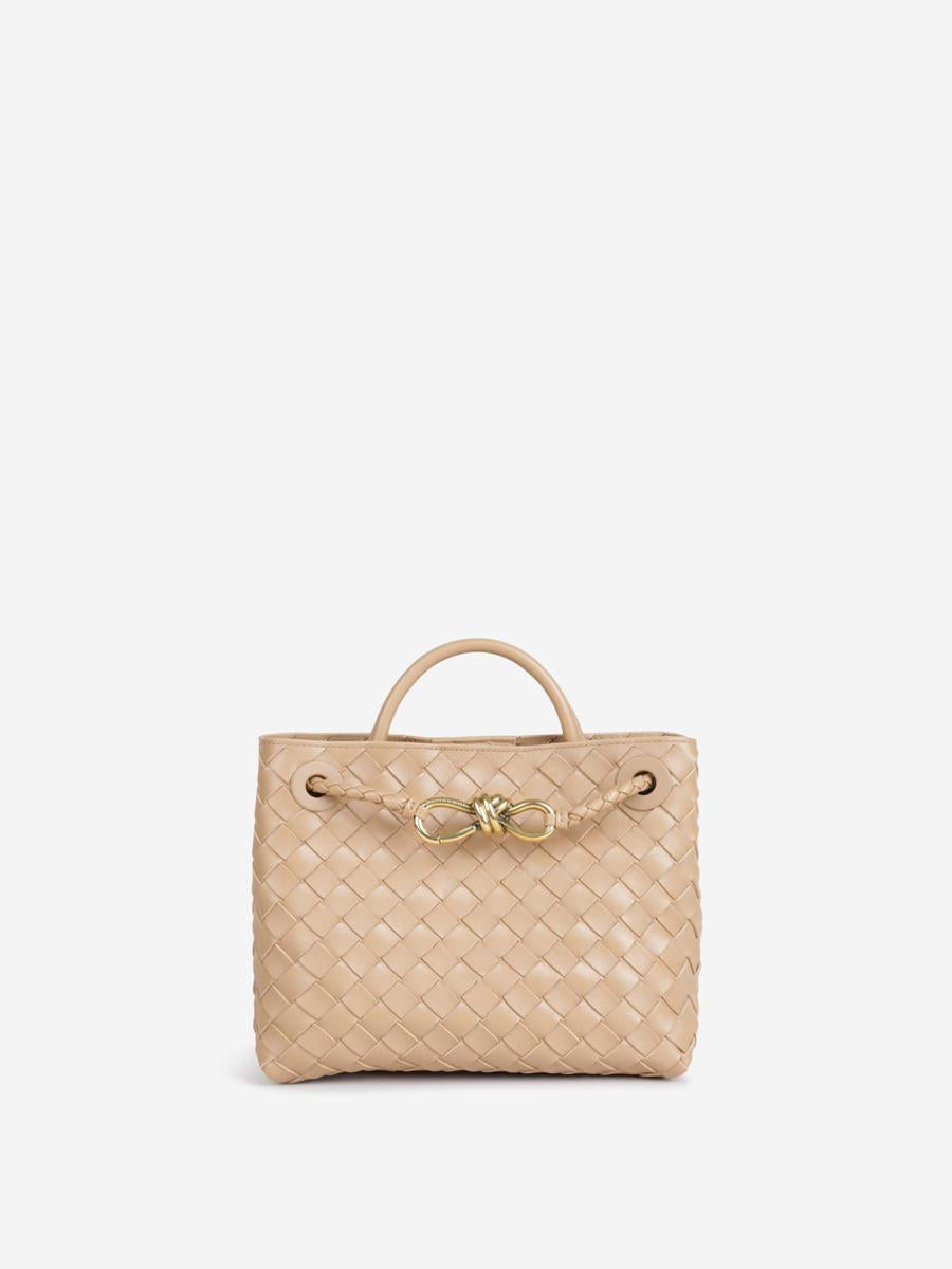 Bottega Veneta Small Andiamo Bag