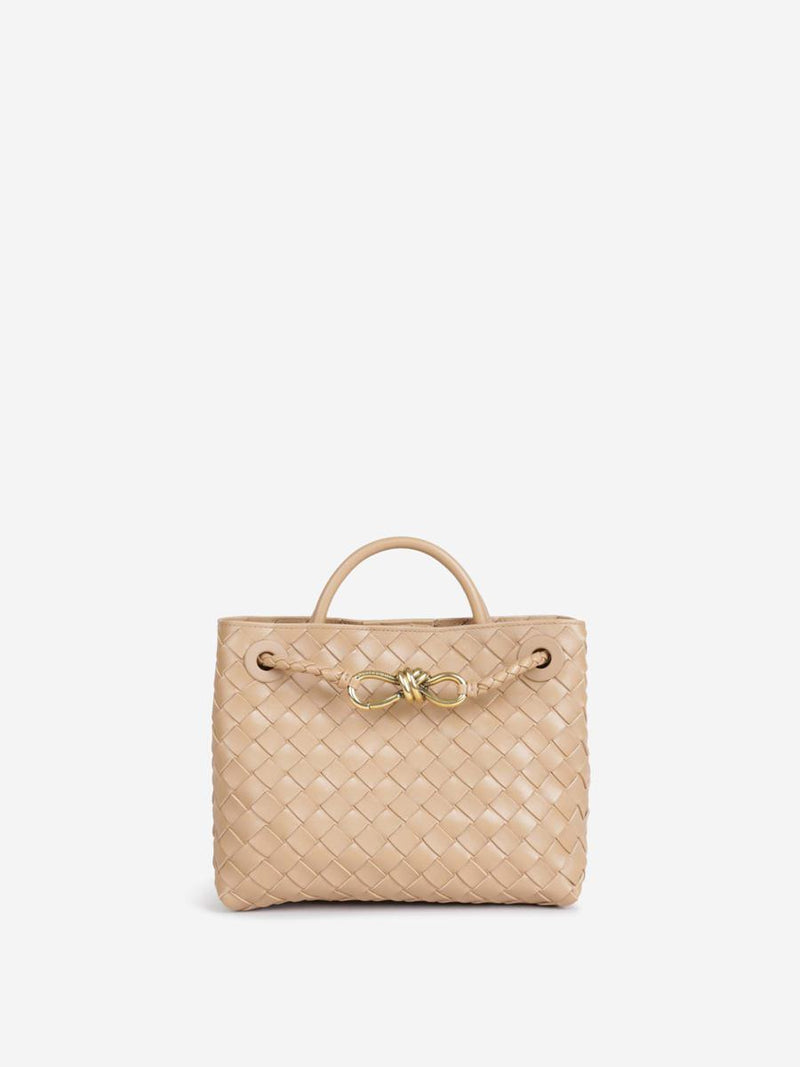 Bottega Veneta Small Andiamo Bag