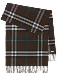 Burberry Scarfs