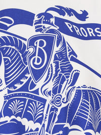 Burberry T-Shirt And Polo Shirt