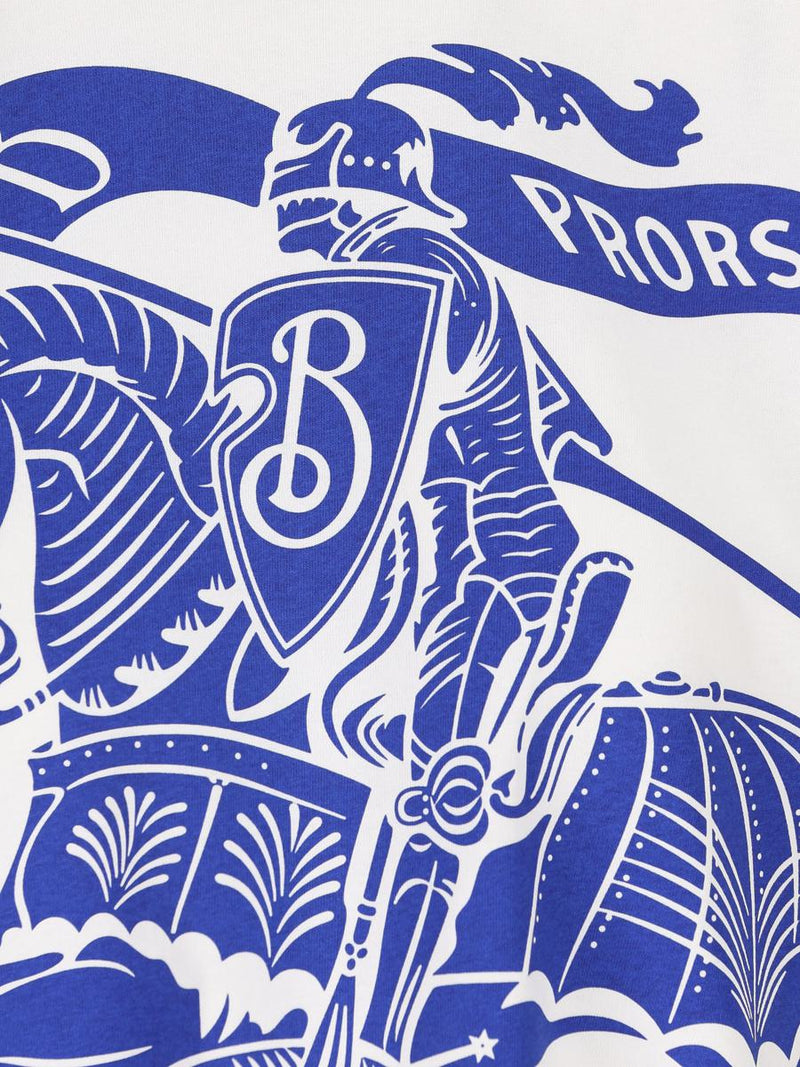 Burberry T-Shirt And Polo Shirt