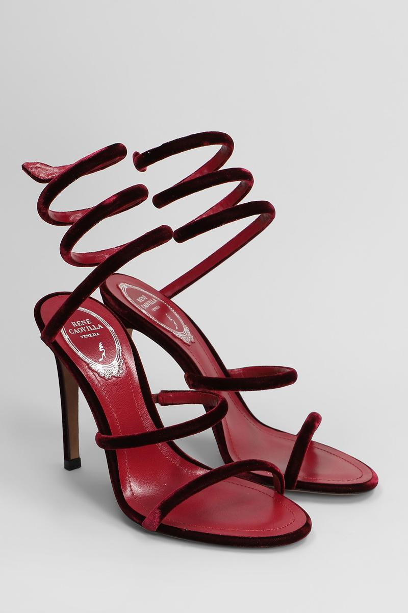 René Caovilla Cleo  Sandals