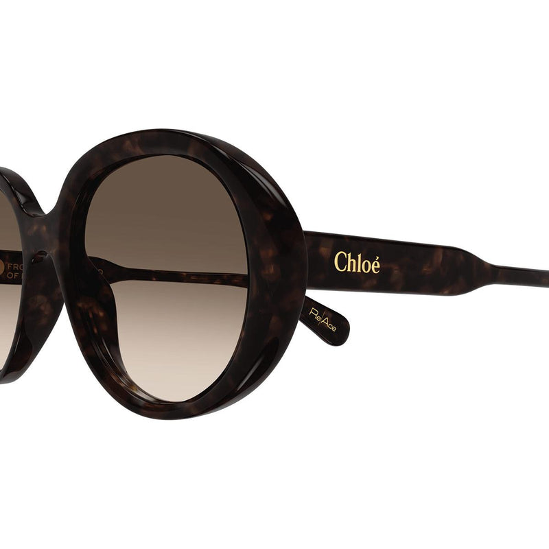 Chloé Sunglasses