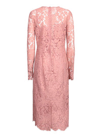 dolce--gabbana-dresses-1764887006009066263-1