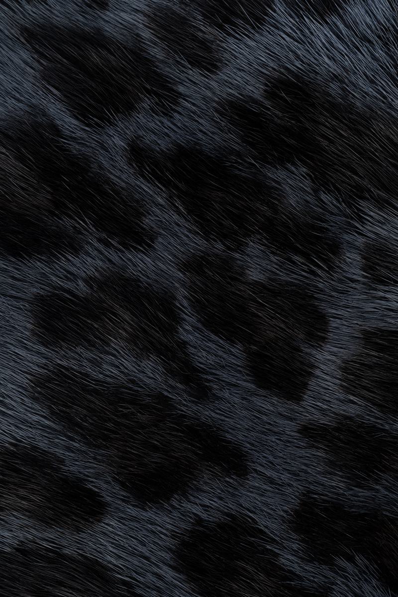 Dior Scarves & Foulards