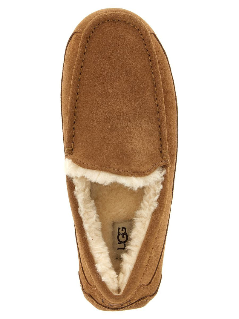 UGG 'Ascot' Loafers